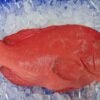 Grouper 800 500